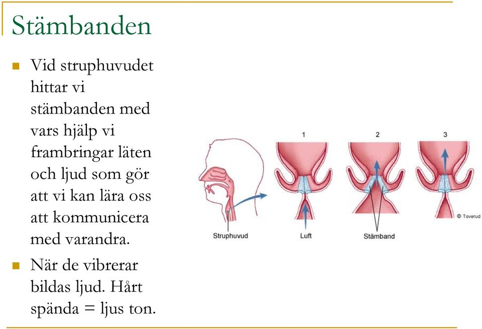 gör att vi kan lära oss att kommunicera med