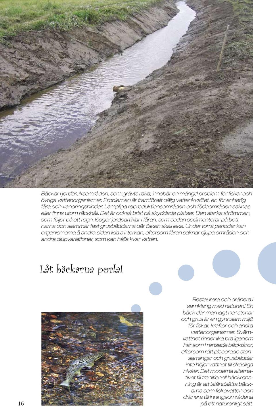 Den starka strömmen, som följer på ett regn, lösgör jordpartiklar i fåran, som sedan sedimenterar på bottnarna och slammar fast grusbäddarna där fisken skall leka.