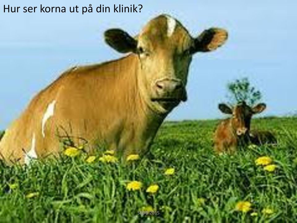 på din