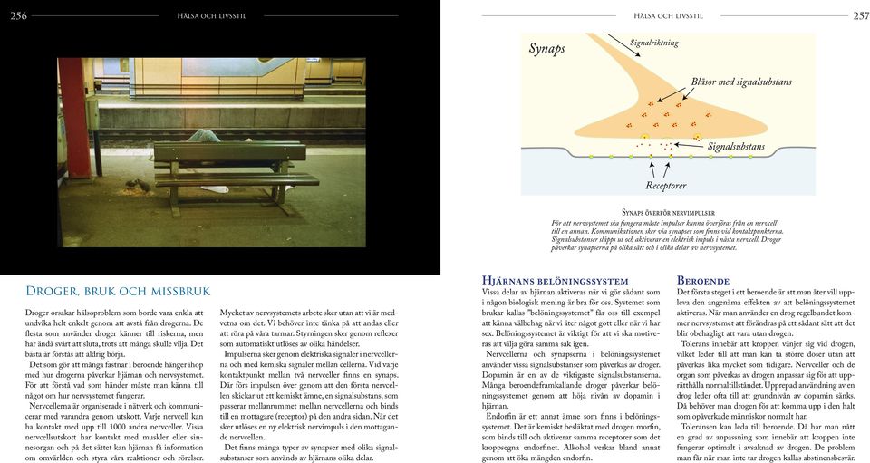 Droger påverkar synapserna på olika sätt och i olika delar av nervsystemet.