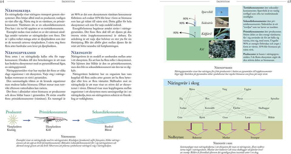 Exemplet nedan visar endast en av det närmast oändliga antalet varianter av näringskedjor som finns. Det är i själva verket många arter av djurplankton som äter av de tusentals arterna växtplankton.