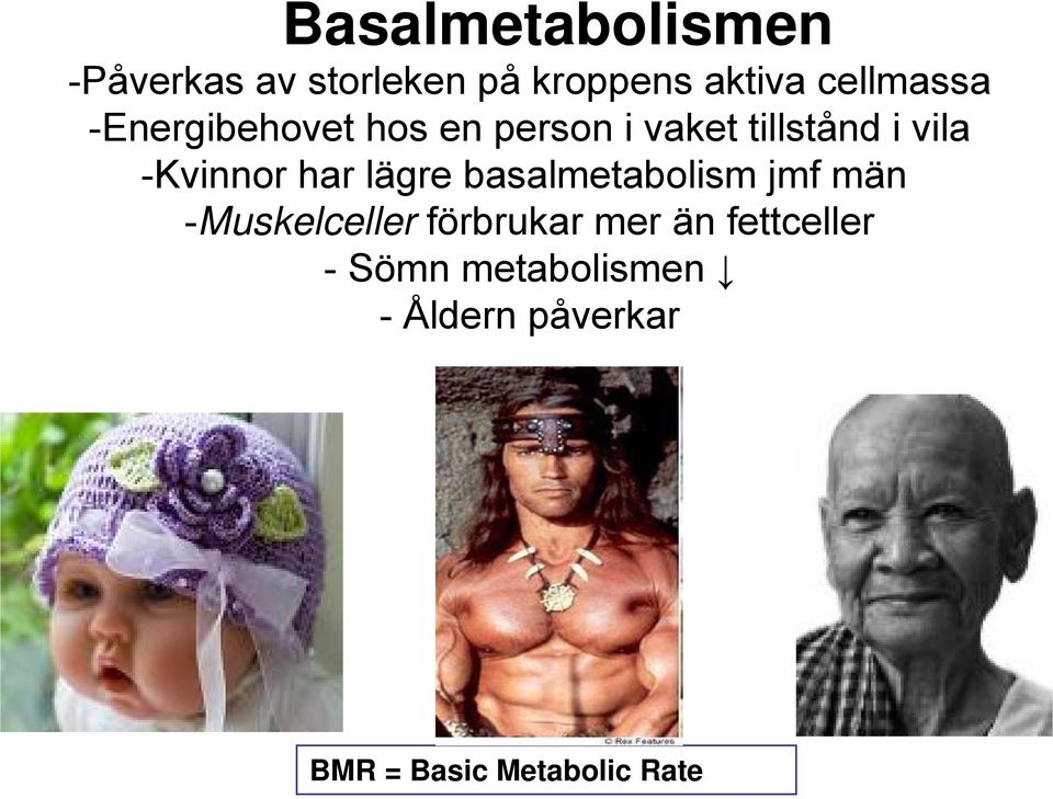 -Kvinnor har lägre basalmetabolism jmf män -Muskelceller förbrukar