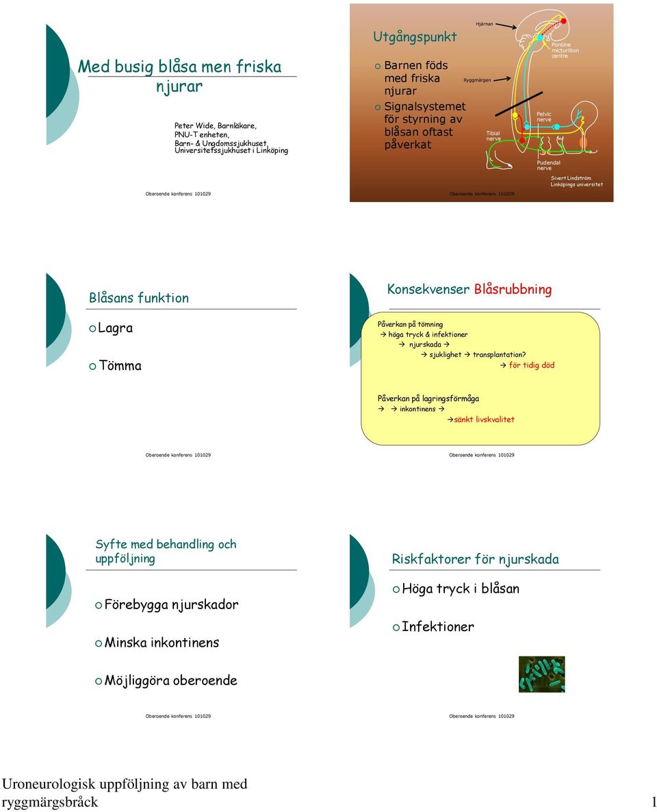 Blåsans funktion Lagra Tömma Konsekvenser Blåsrubbning Påverkan på tömning höga tryck & infektioner njurskada sjuklighet transplantation?