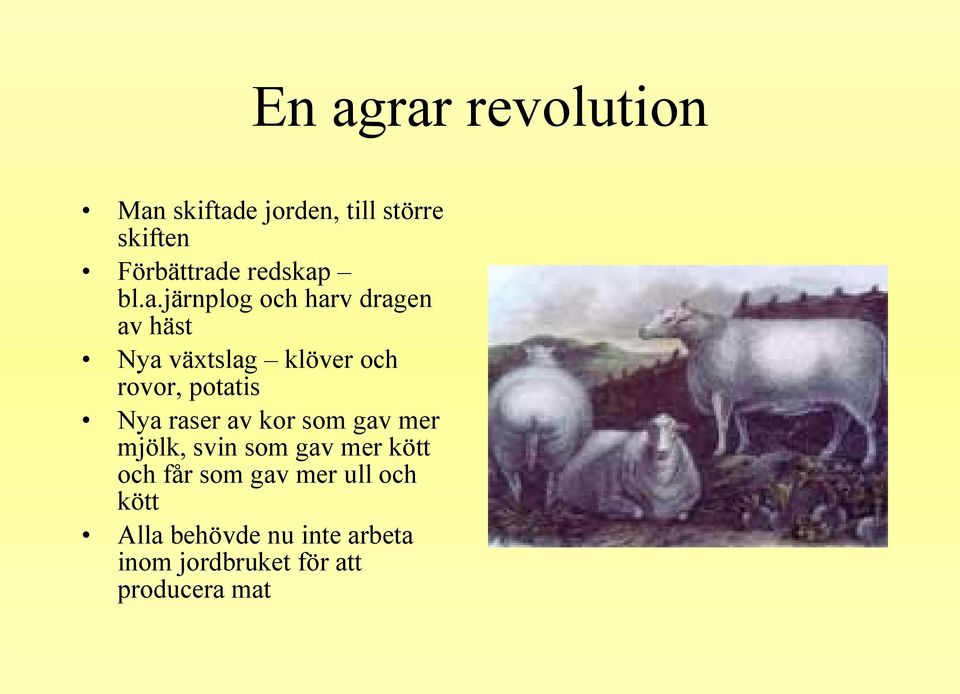 bl.a.järnplog och harv dragen av häst Nya växtslag klöver och rovor, potatis