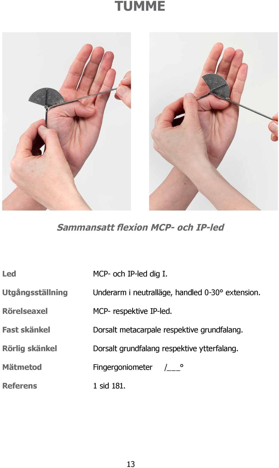 extension. MCP- respektive IP-led. Dorsalt metacarpale respektive grundfalang.