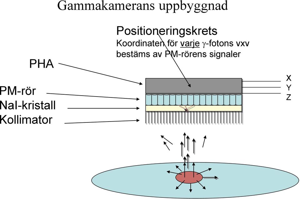 Positioneringskrets Koordinaten för