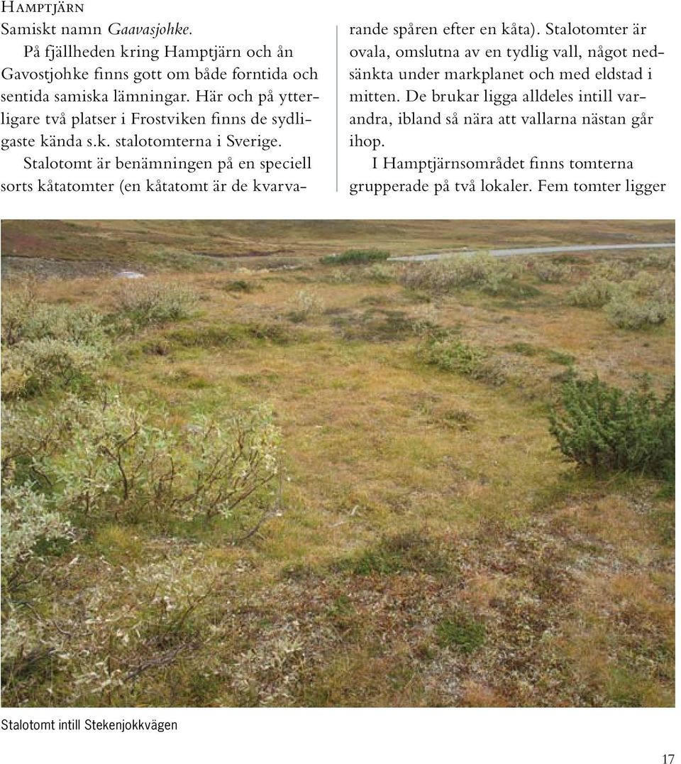 Stalotomt är benämningen på en speciell sorts kåtatomter (en kåtatomt är de kvarvarande spåren efter en kåta).