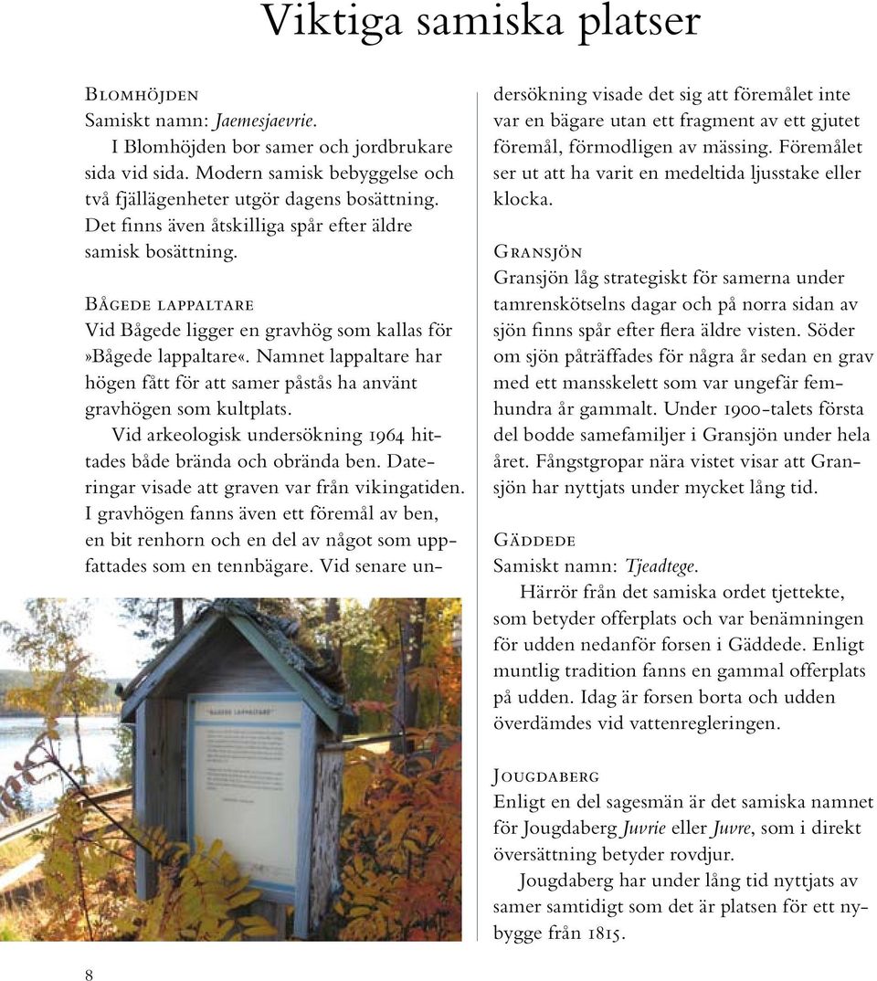 Namnet lappaltare har högen fått för att samer påstås ha använt gravhögen som kultplats. Vid arkeologisk undersökning 1964 hittades både brända och obrända ben.