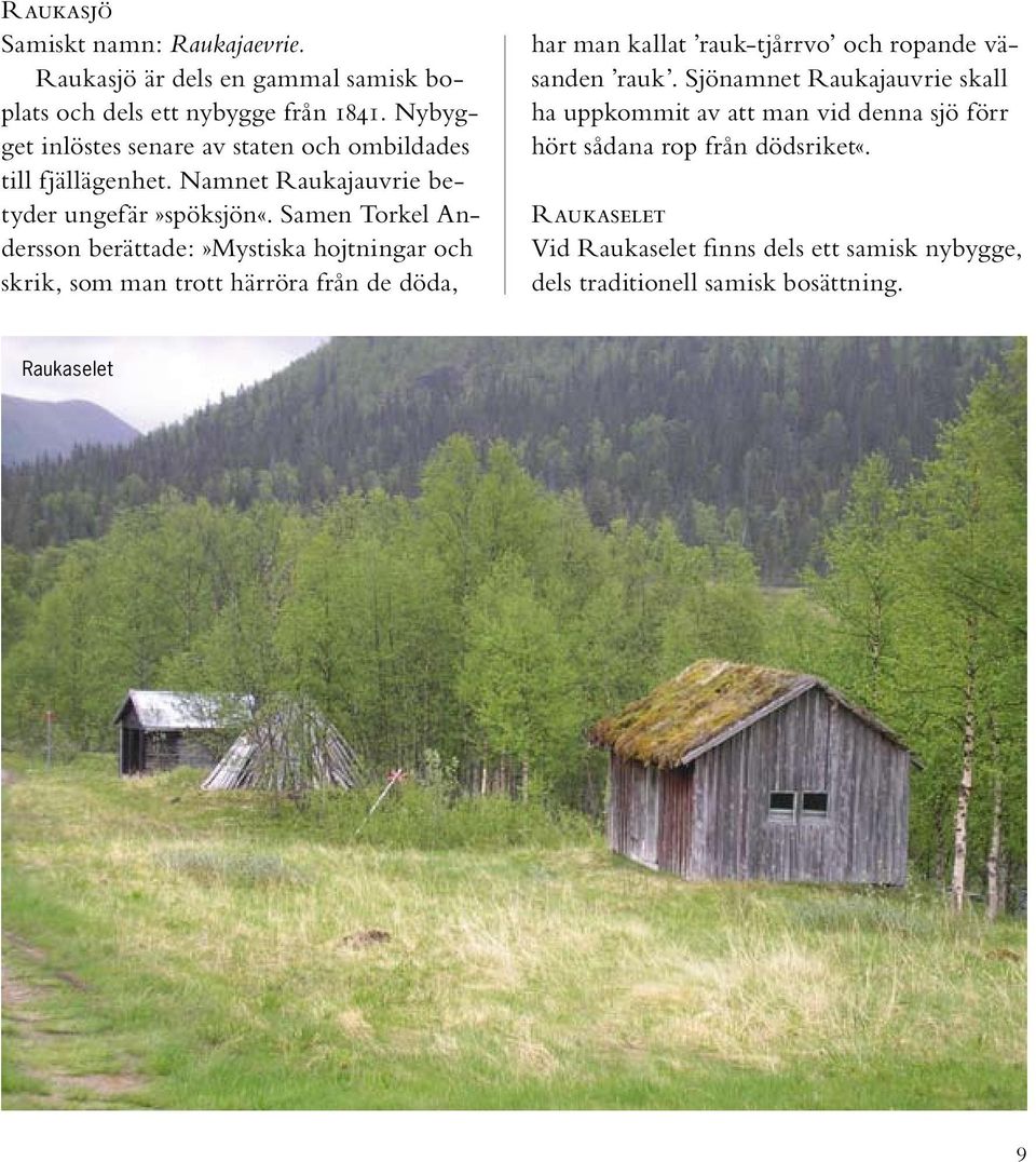 Samen Torkel Andersson berättade:»mystiska hojtningar och skrik, som man trott härröra från de döda, har man kallat rauk-tjårrvo och ropande