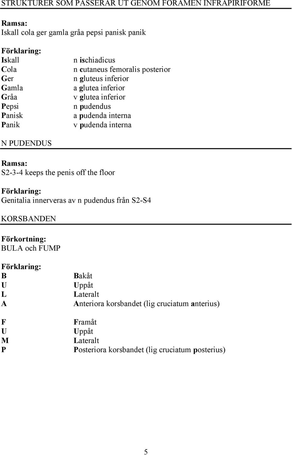 pudenda interna N PUDENDUS S2-3-4 keeps the penis off the floor Genitalia innerveras av n pudendus från S2-S4 KORSBNDEN BUL och FUMP B U L