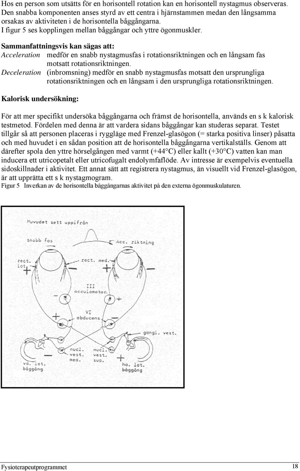 I figur 5 ses kopplingen mellan båggångar och yttre ögonmuskler.