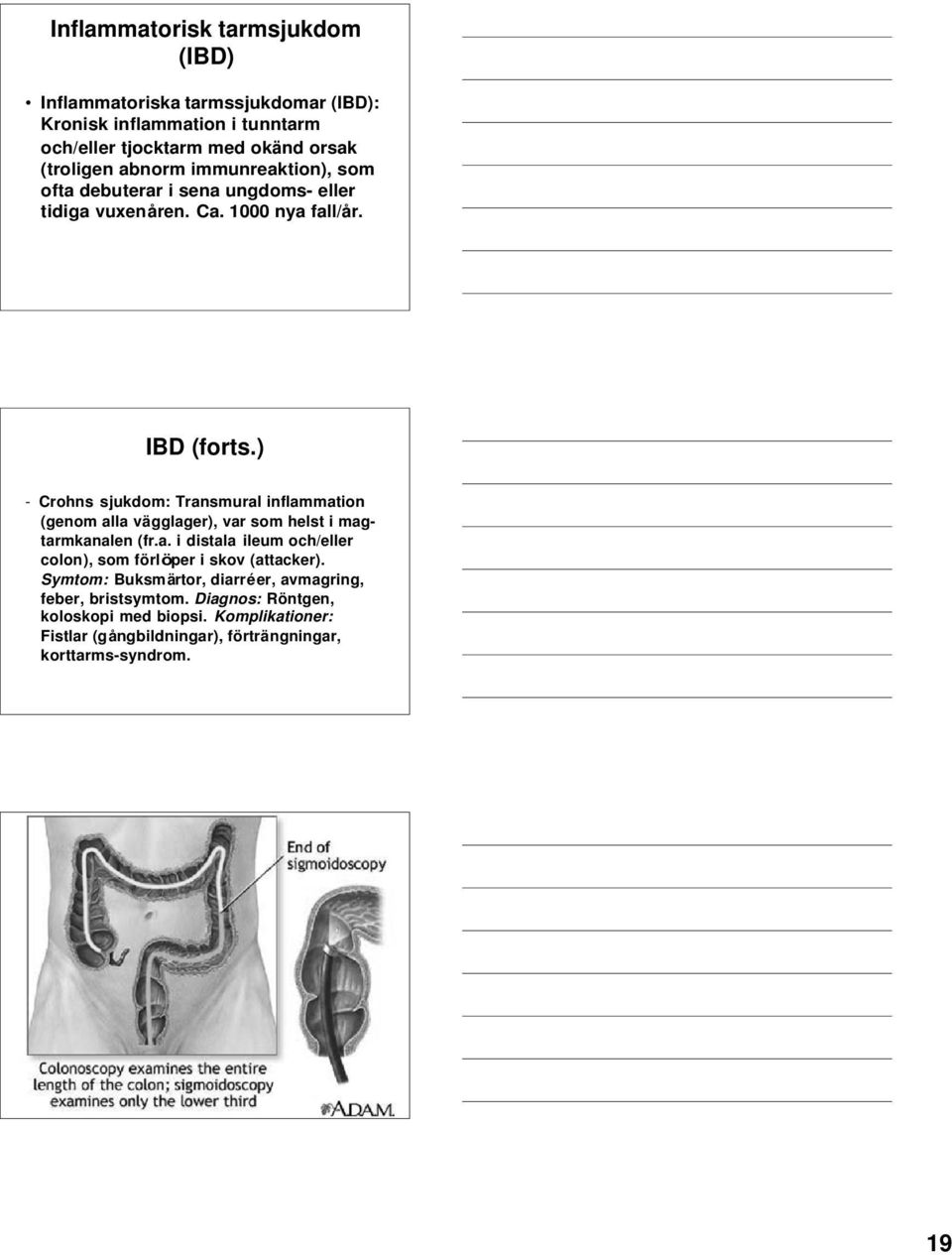 ) - Crohns sjukdom: Transmural inflammation (genom alla vägglager), var som helst i magtarmkanalen (fr.a. i distala ileum och/eller colon), som förlöper i skov (attacker).