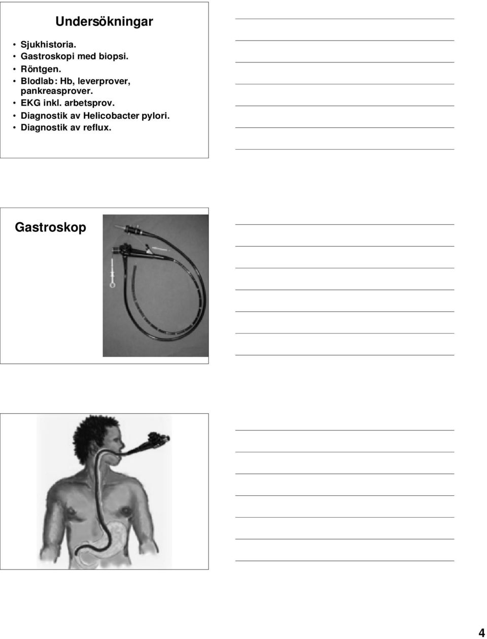 Blodlab: Hb, leverprover, pankreasprover.