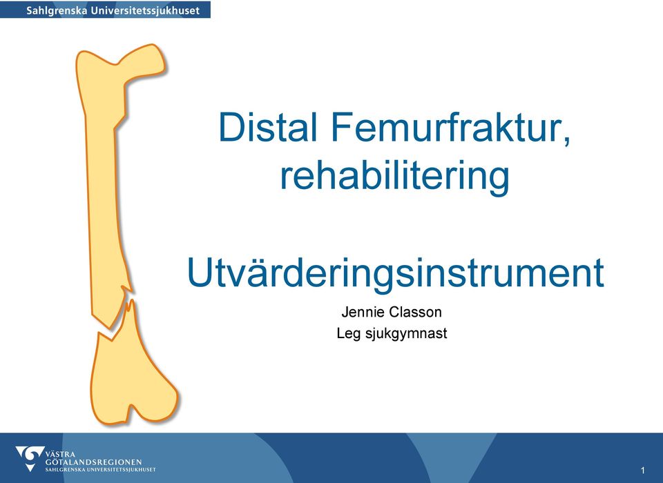 Utvärderingsinstrument