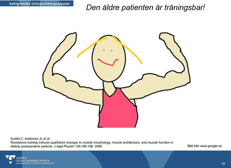 morphology, muscle architecture, and muscle function in elderly