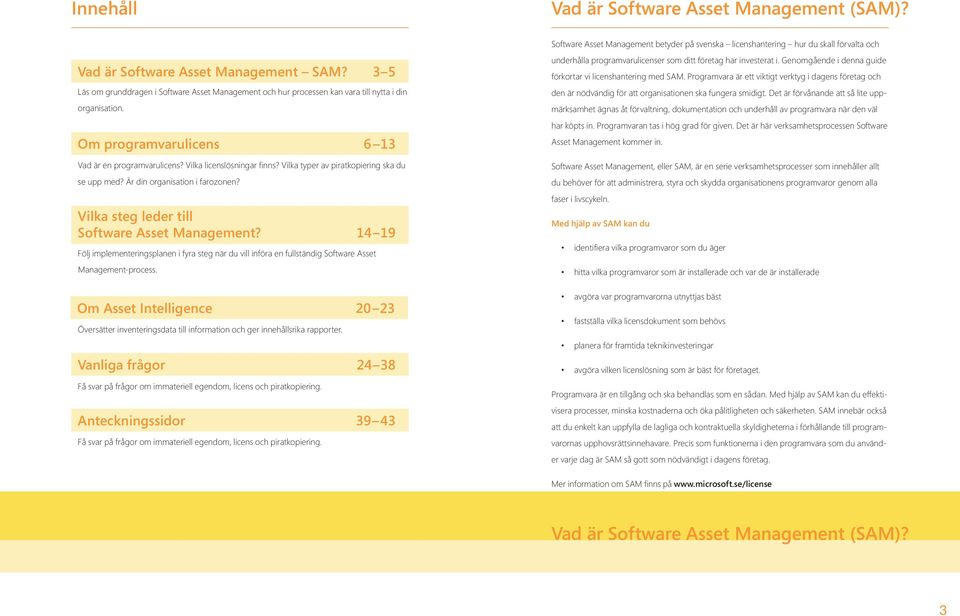 Vilka typer av piratkopiering ska du se upp med? Är din organisation i farozonen? Vilka steg leder till Software Asset Management?