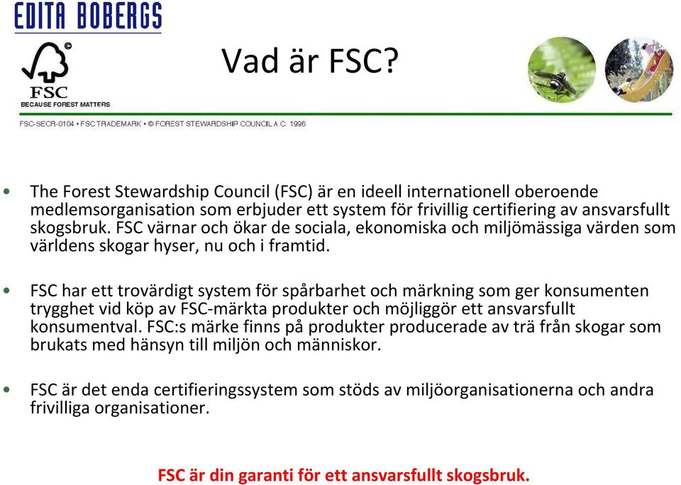 FSC värnar och ökar de sociala, ekonomiska och miljömässiga värden som världens skogar hyser, nu och i framtid.