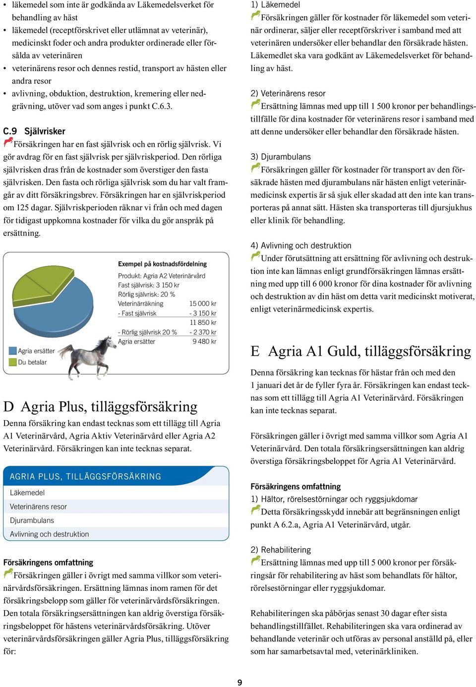 6.3. C.9 Självrisker DFörsäkringen D har en fast självrisk och en rörlig självrisk. Vi gör avdrag för en fast självrisk per självriskperiod.