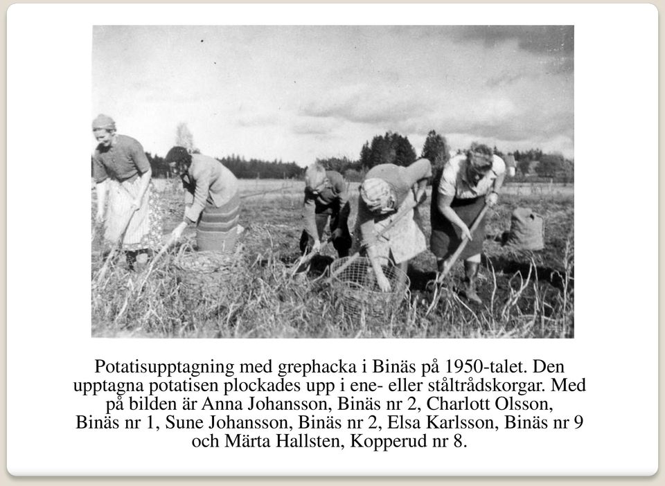 Med på bilden är Anna Johansson, Binäs nr 2, Charlott Olsson, Binäs nr