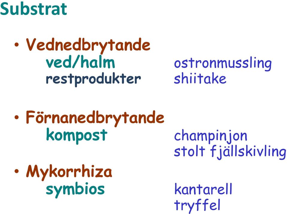 Mykorrhiza symbios ostronmussling