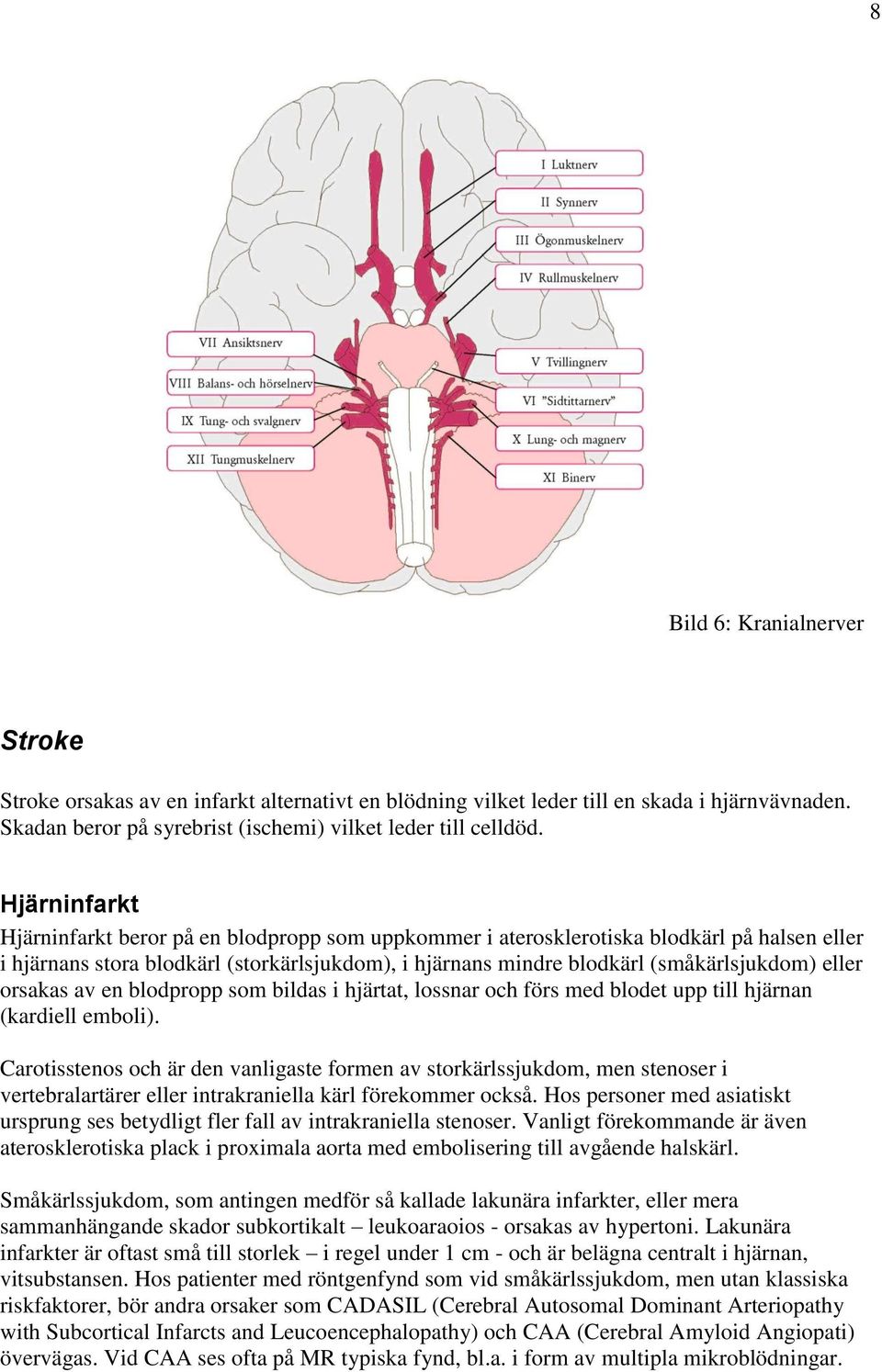 eller orsakas av en blodpropp som bildas i hjärtat, lossnar och förs med blodet upp till hjärnan (kardiell emboli).