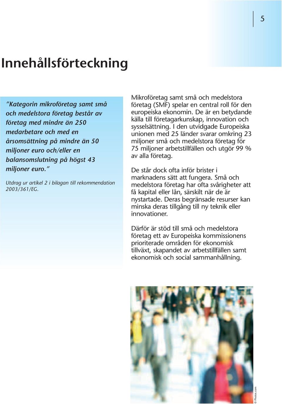 Mikroföretag samt små och medelstora företag (SMF) spelar en central roll för den europeiska ekonomin. De är en betydande källa till företagarkunskap, innovation och sysselsättning.