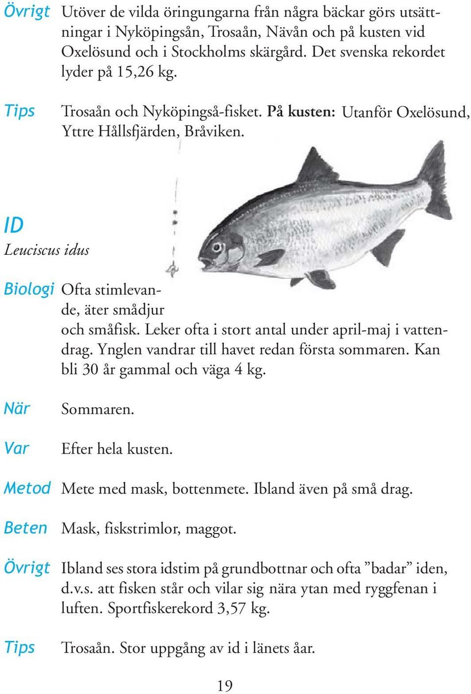 Leker ofta i stort antal under april-maj i vattendrag. Ynglen vandrar till havet redan första sommaren. Kan bli 30 år gammal och väga 4 kg. När Var Sommaren. Efter hela kusten.