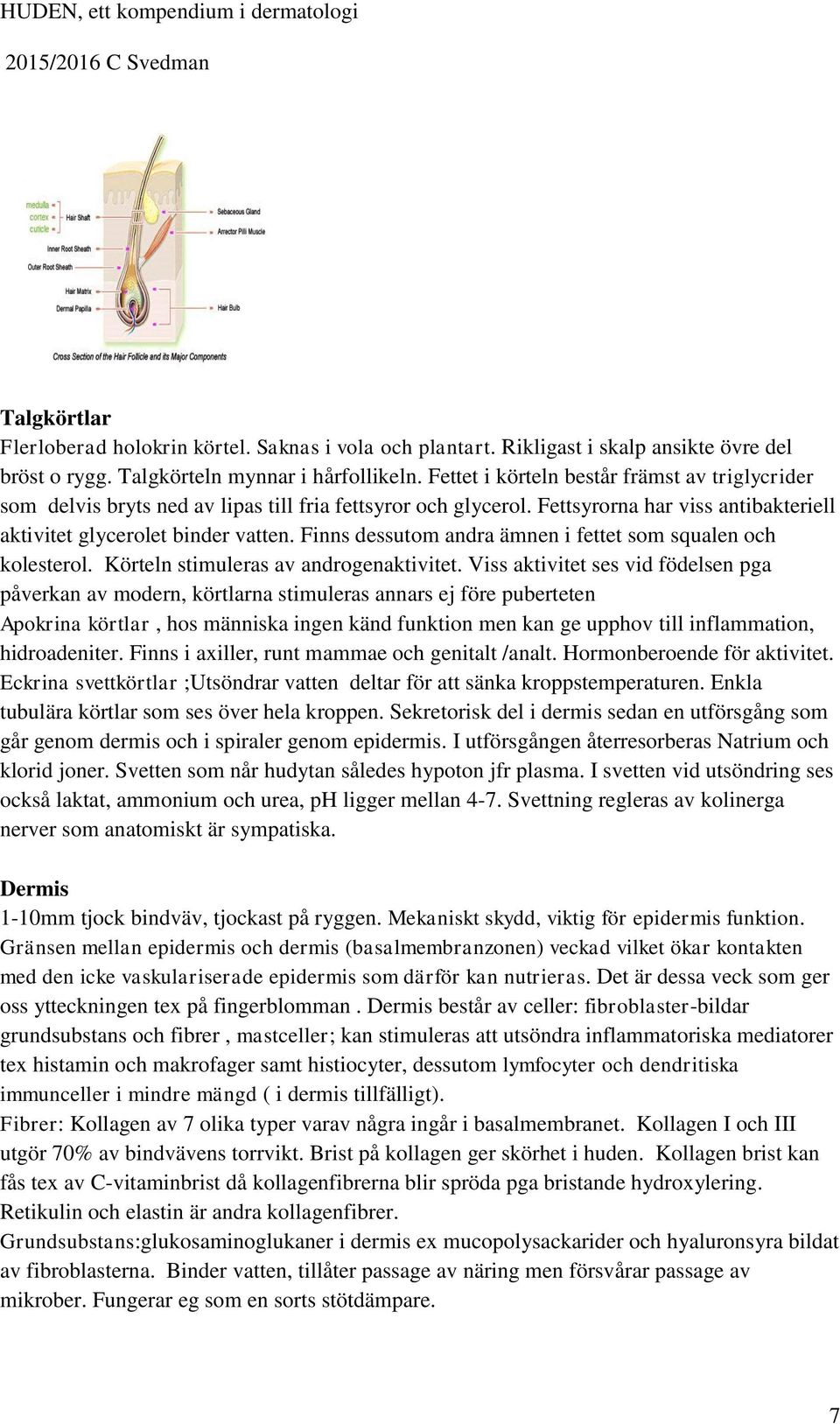 Finns dessutom andra ämnen i fettet som squalen och kolesterol. Körteln stimuleras av androgenaktivitet.