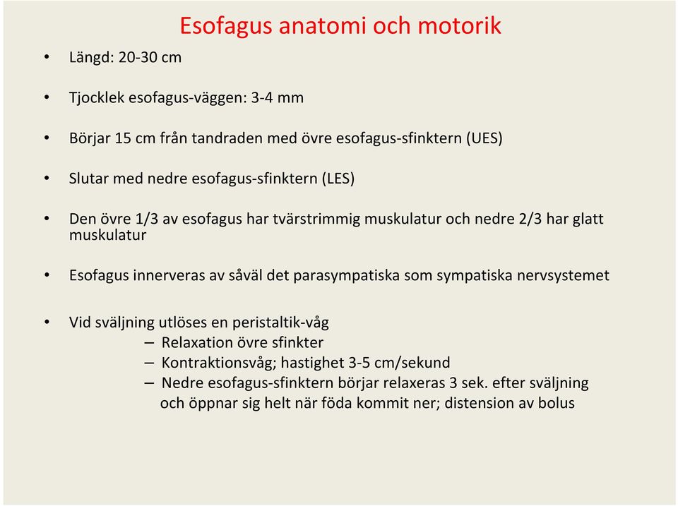 innerveras av såväl det parasympatiska som sympatiska nervsystemet Vid sväljning utlöses en peristaltik våg Relaxation övre sfinkter