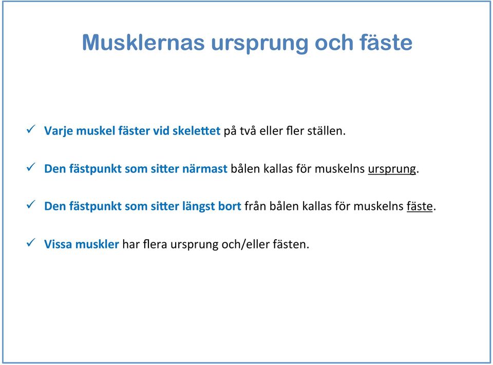 er närmast bålen kallas för muskelns ursprung. ü Den fästpunkt som si?