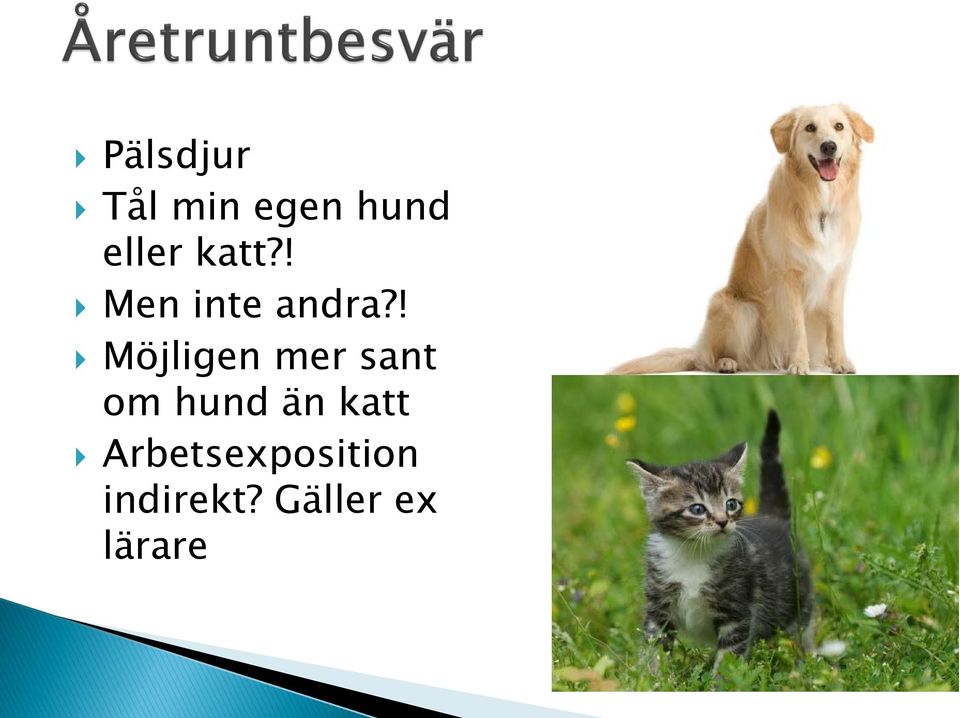 ! Möjligen mer sant om hund än