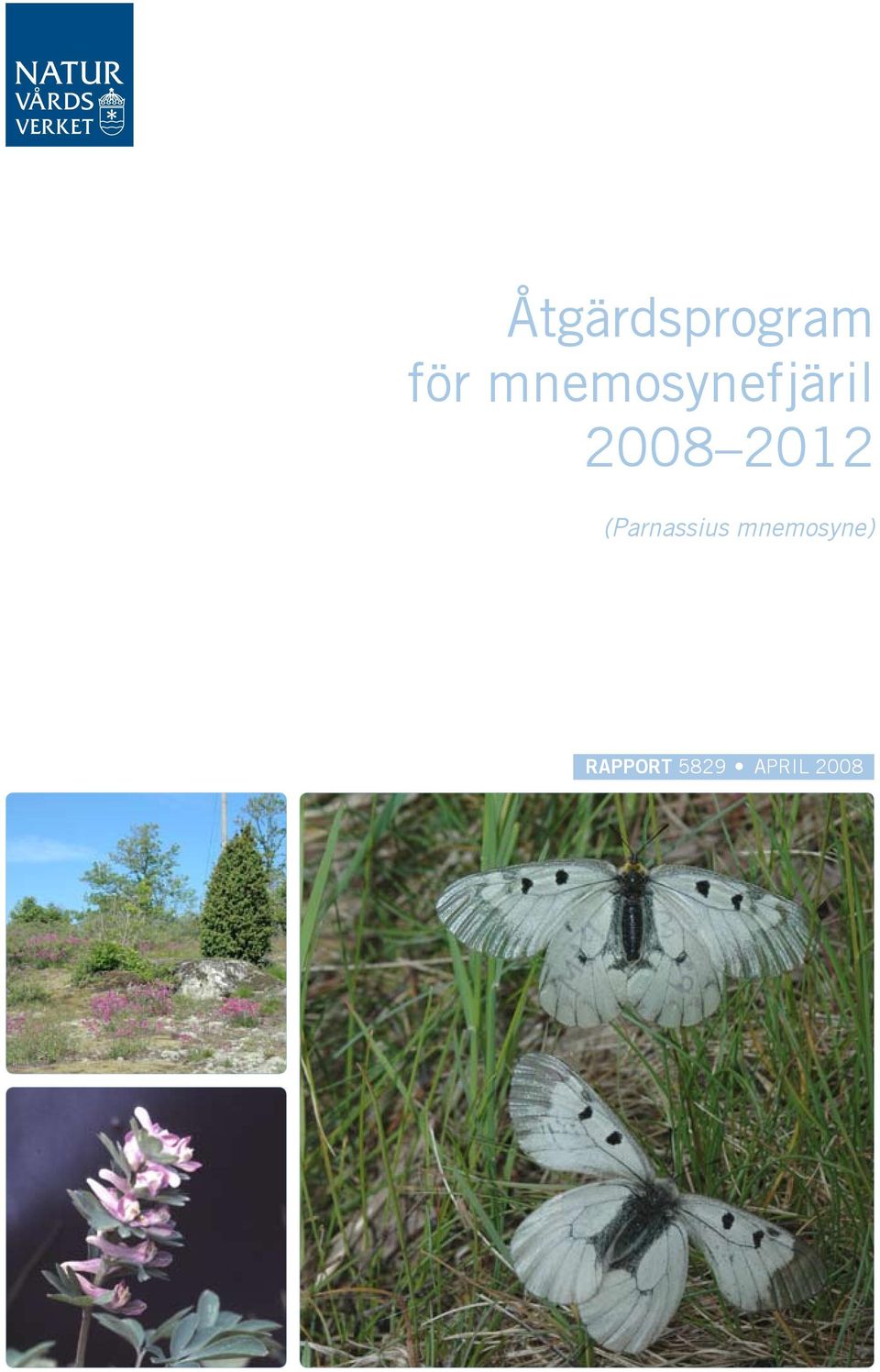 2012 (Parnassius