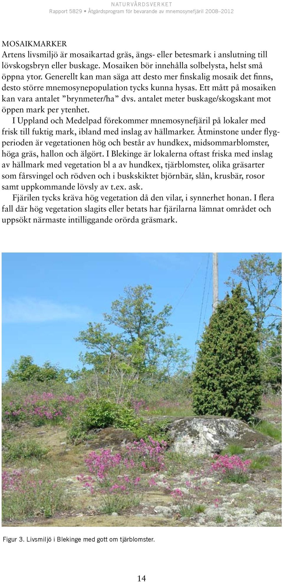 antalet meter buskage/skogskant mot öppen mark per ytenhet. I Uppland och Medelpad förekommer mnemosynefjäril på lokaler med frisk till fuktig mark, ibland med inslag av hällmarker.
