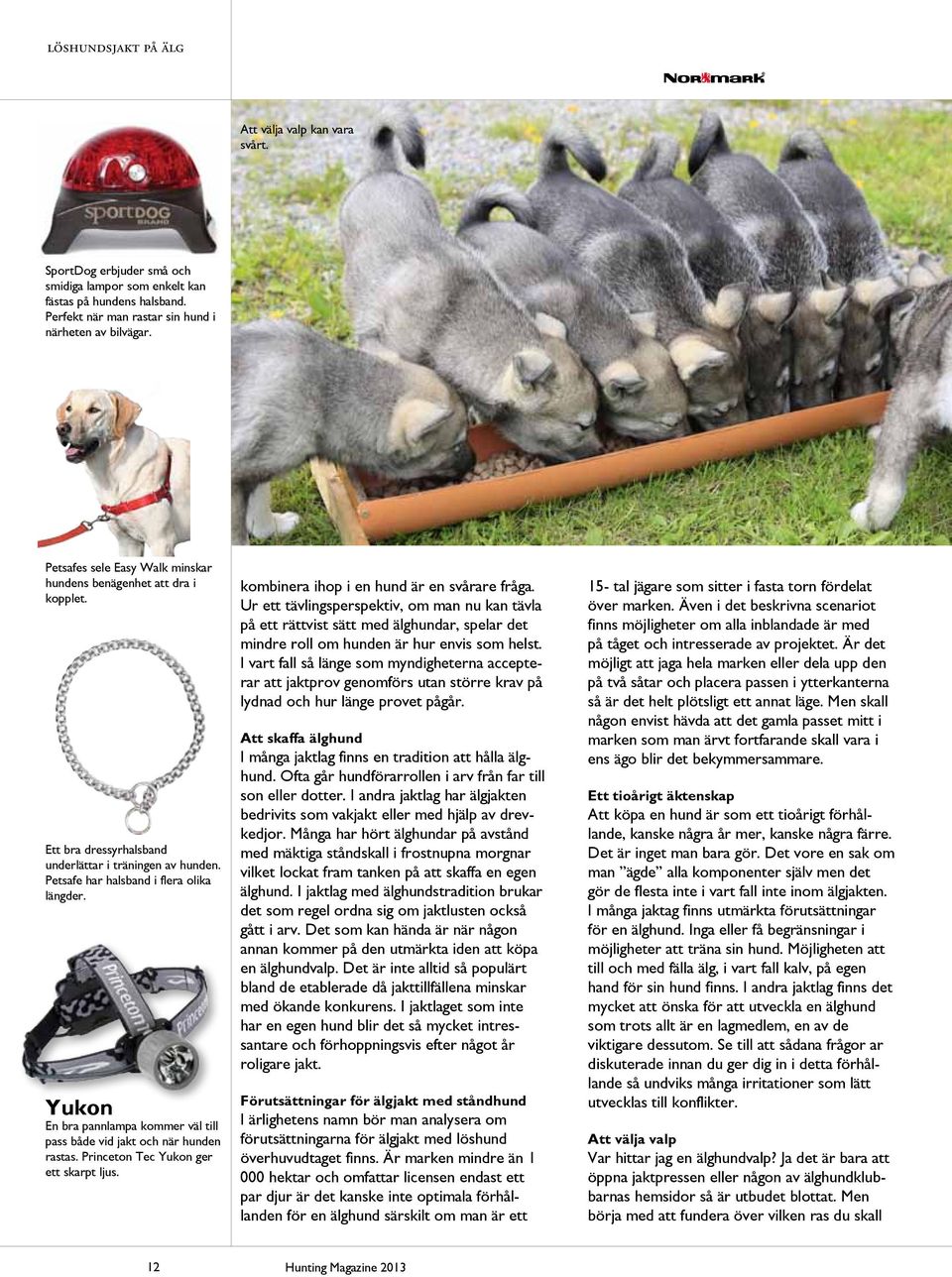 Yukon En bra pannlampa kommer väl till pass både vid jakt och när hunden rastas. Princeton Tec Yukon ger ett skarpt ljus. kombinera ihop i en hund är en svårare fråga.