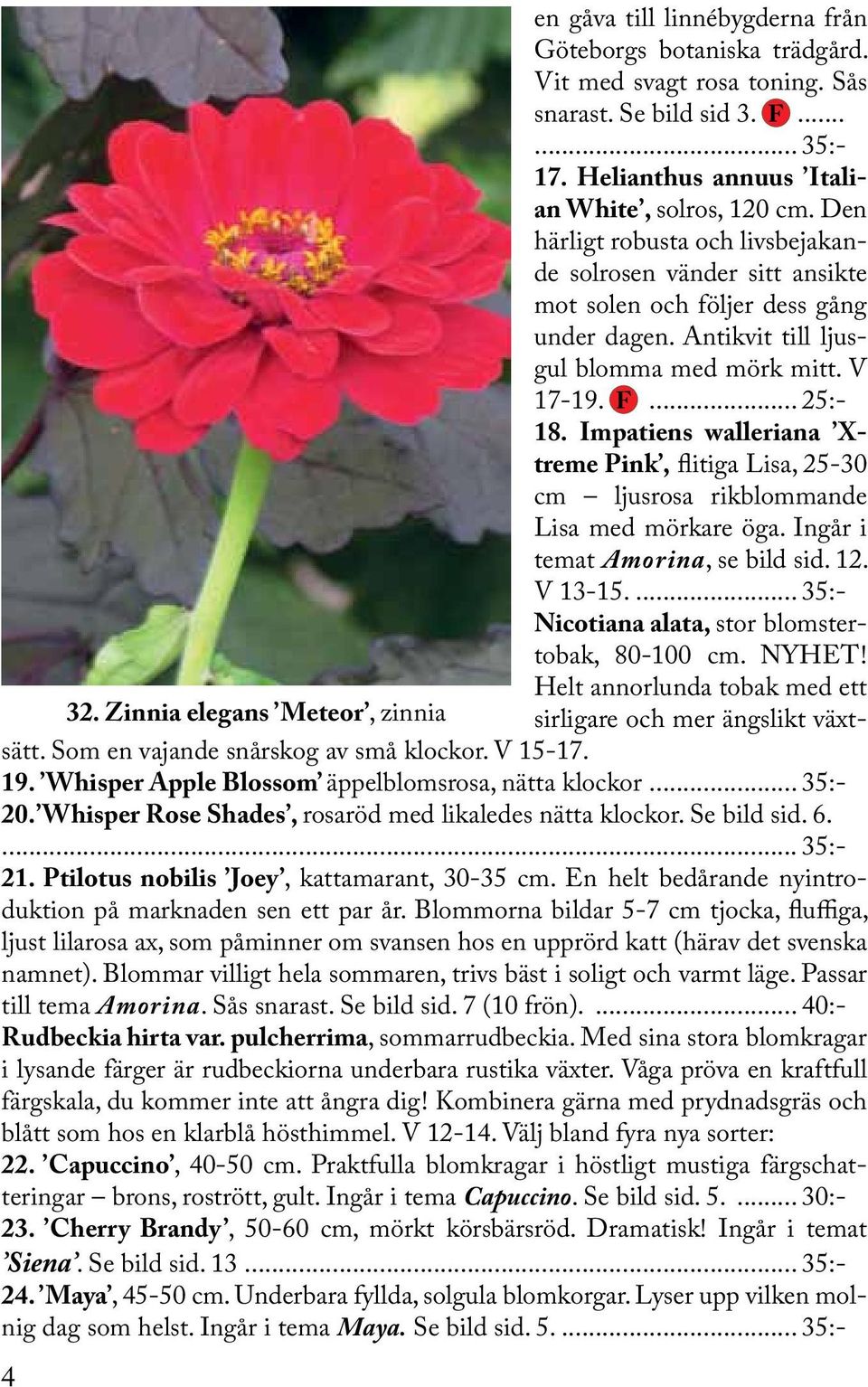 Impatiens walleriana Xtreme Pink, flitiga Lisa, 25-30 cm ljusrosa rikblommande Lisa med mörkare öga. Ingår i temat Amorina, se bild sid. 12. V 13-15.