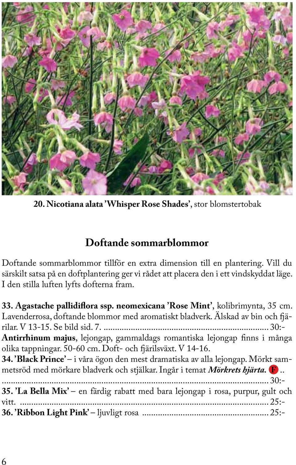 Utvalda & komponerade sommarblommor - PDF Gratis nedladdning