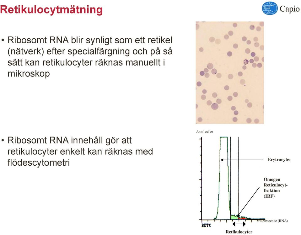 Ribosomt RNA innehåll gör att retikulocyter enkelt kan räknas med flödescytometri