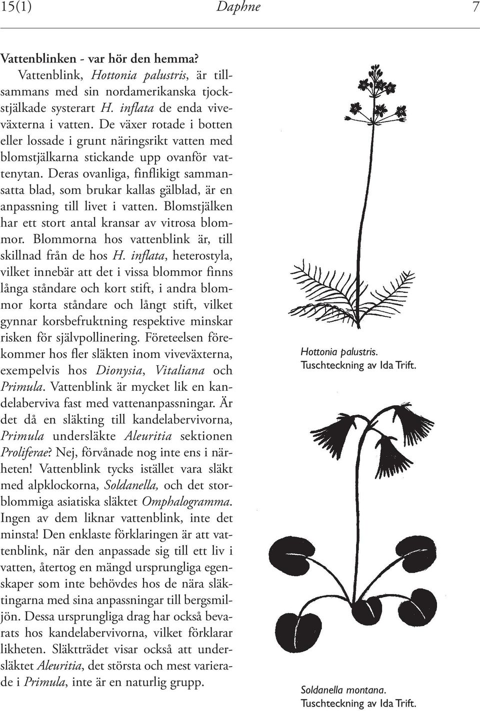 Deras ovanliga, finflikigt sammansatta blad, som brukar kallas gälblad, är en anpassning till livet i vatten. Blomstjälken har ett stort antal kransar av vitrosa blommor.