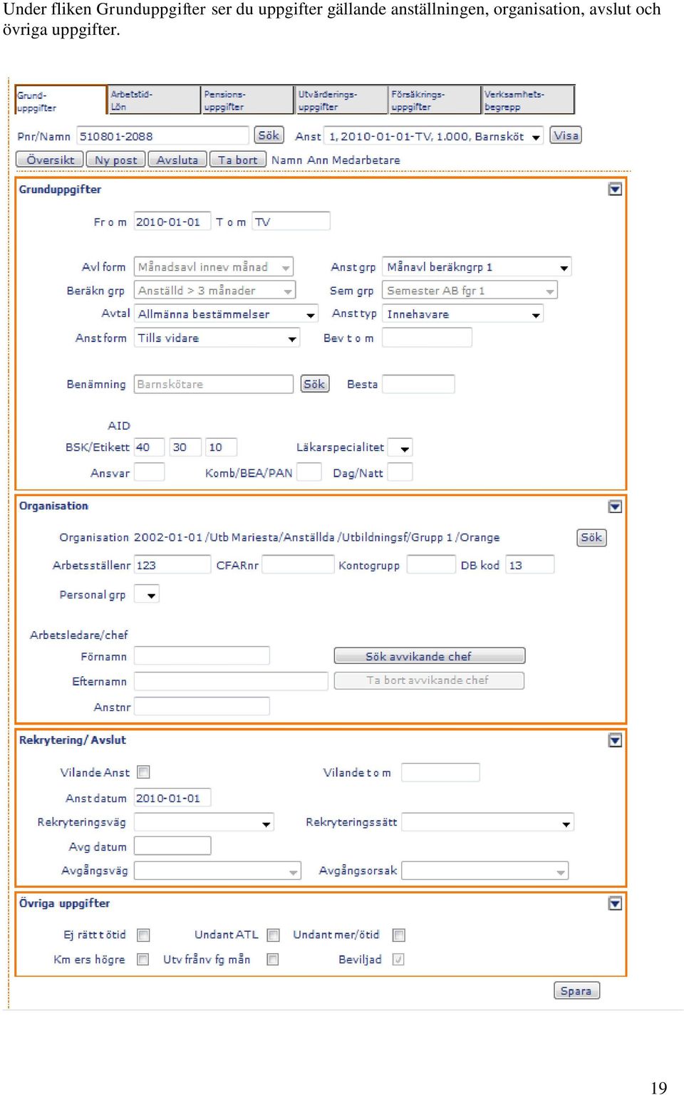 anställningen, organisation,