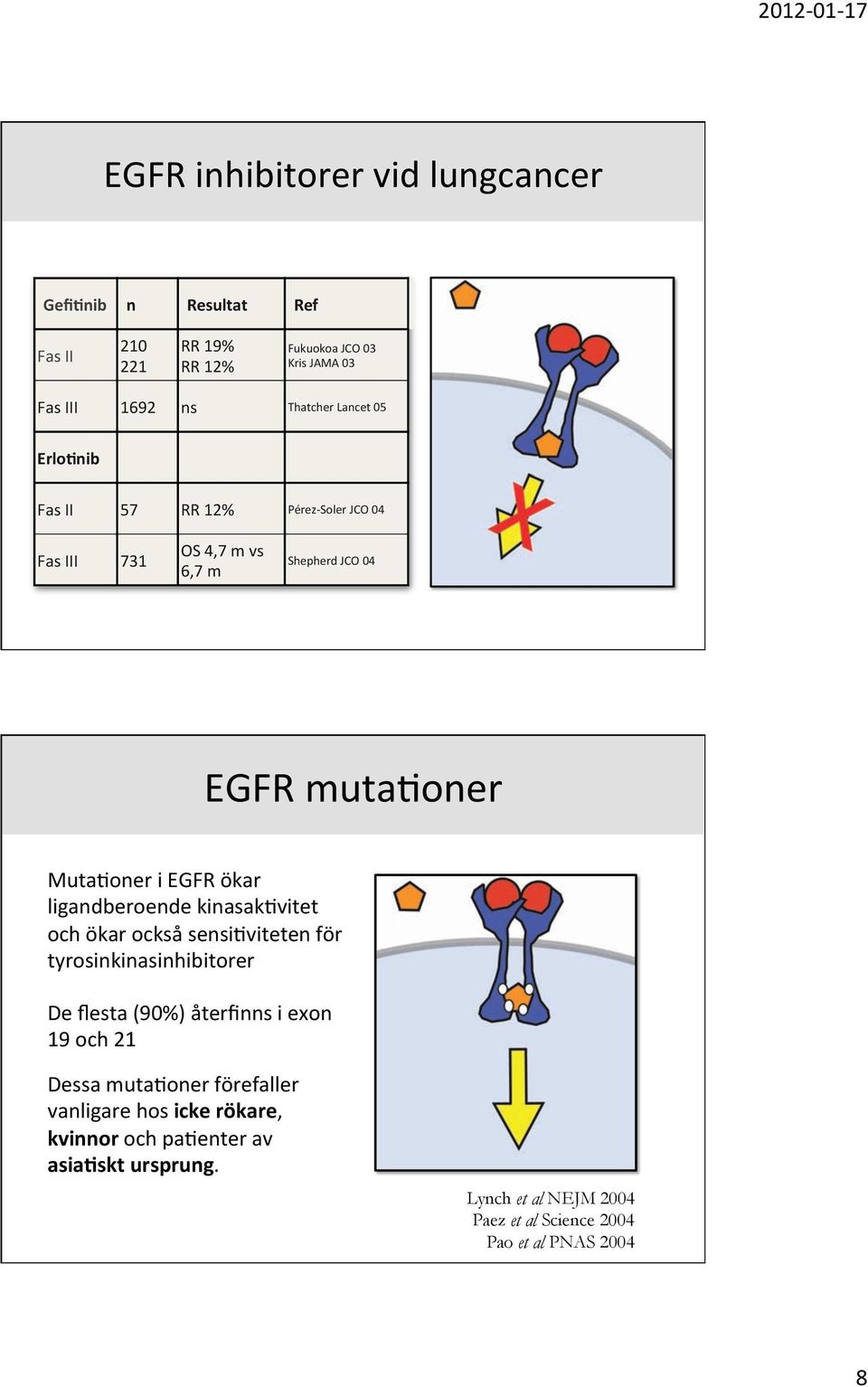 ligandberoende kinasak:vitet och ökar också sensi:viteten för tyrosinkinasinhibitorer De flesta (90%) återfinns i exon 19 och 21 Dessa