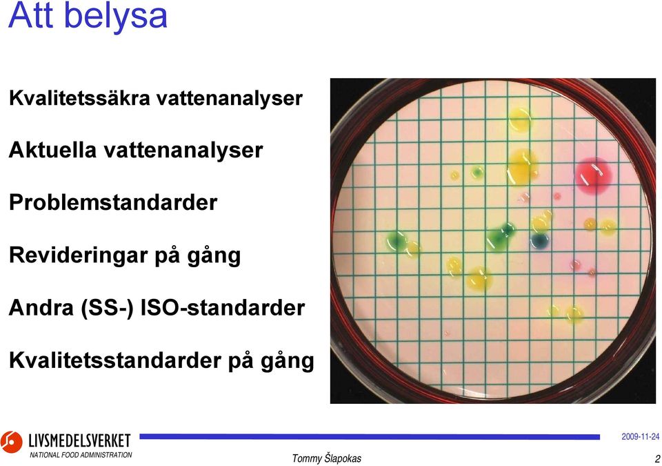 Revideringar på gång Andra (SS-)