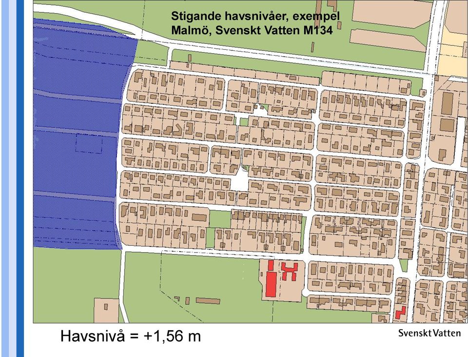 havsnivåer,