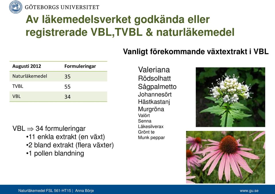 formuleringar 11 enkla extrakt (en växt) 2 bland extrakt (flera växter) 1 pollen blandning