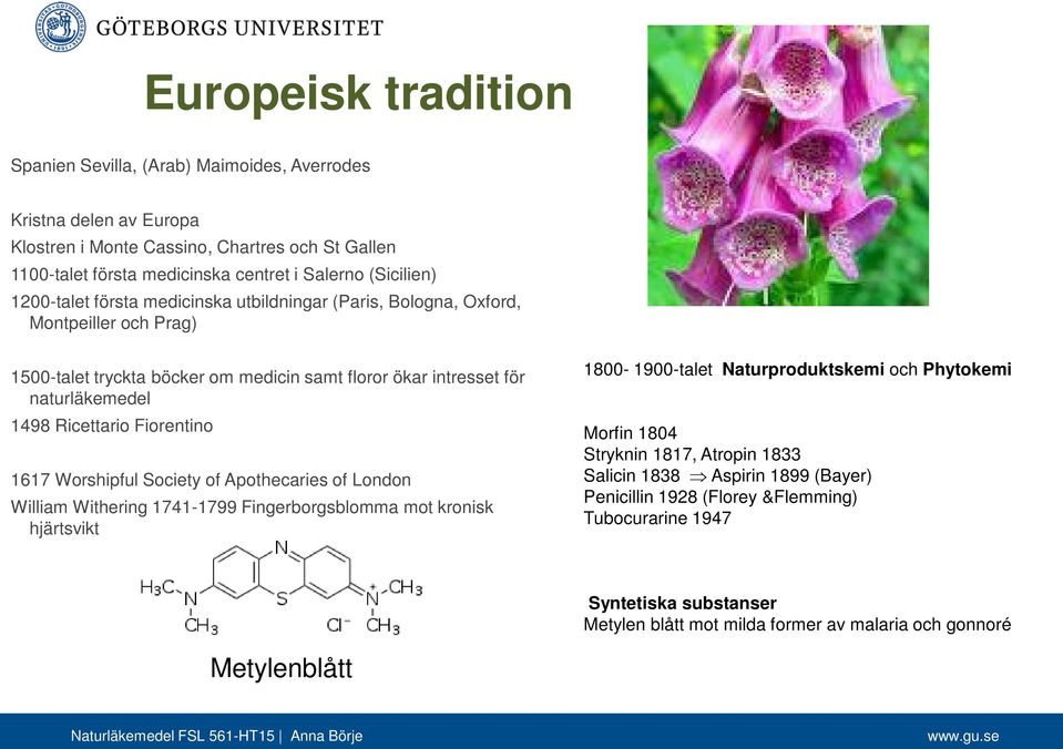 Ricettario Fiorentino 1617 Worshipful Society of Apothecaries of London William Withering 1741-1799 Fingerborgsblomma mot kronisk hjärtsvikt 1800-1900-talet Naturproduktskemi och Phytokemi