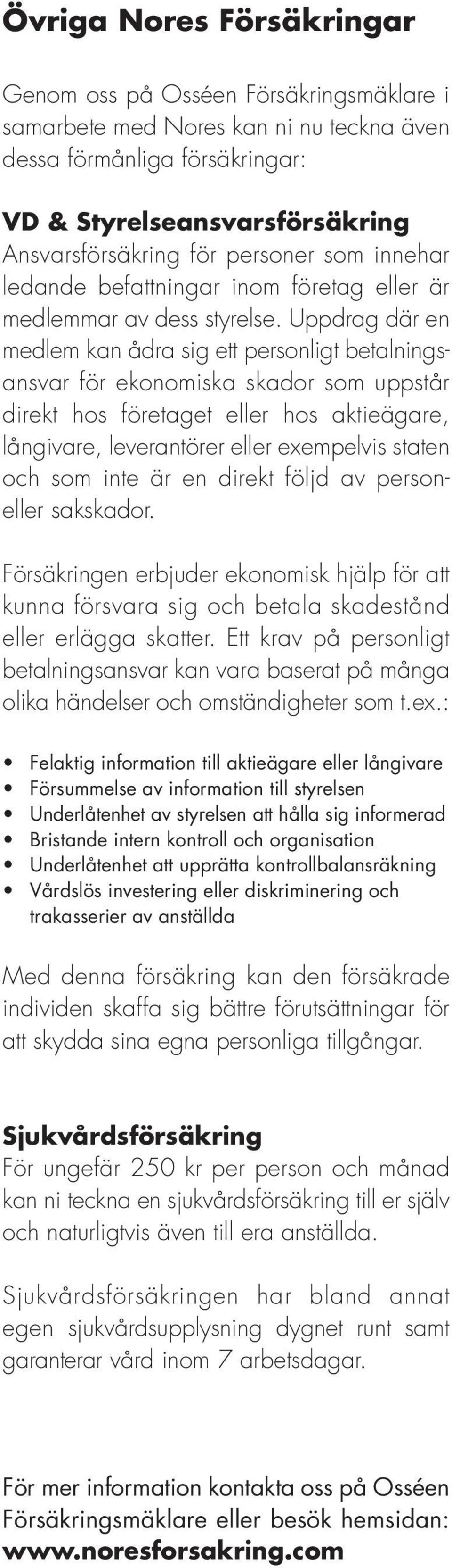 Uppdrag där en medlem kan ådra sig ett personligt betalningsansvar för ekonomiska skador som uppstår direkt hos företaget eller hos aktieägare, långivare, leverantörer eller exempelvis staten och som