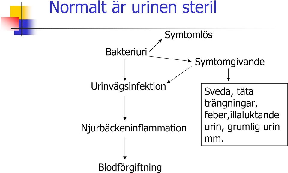 Njurbäckeninflammation Sveda, täta