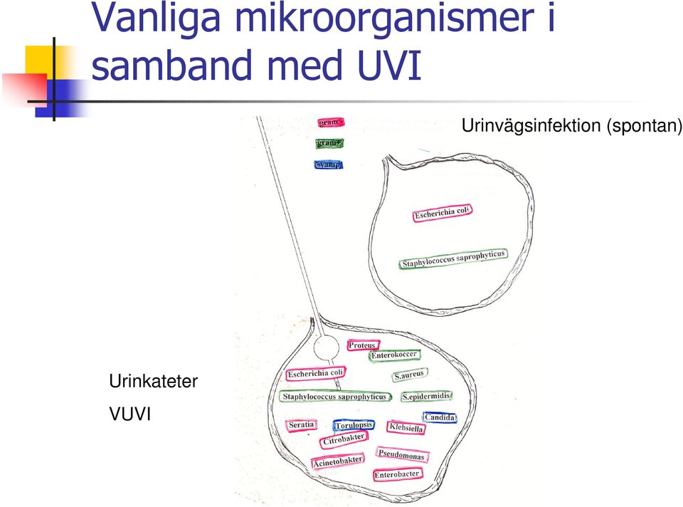 samband med UVI