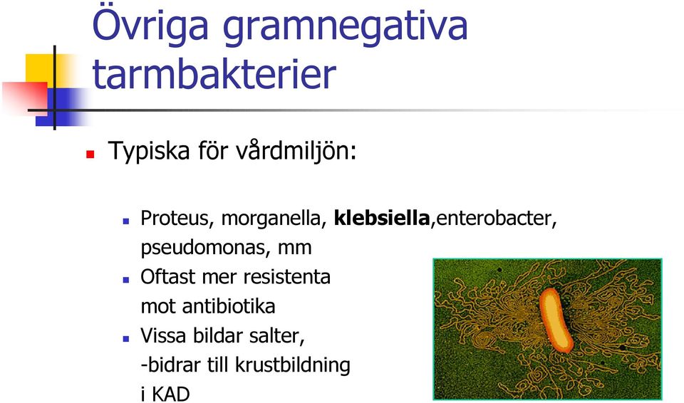 klebsiella,enterobacter, pseudomonas, mm Oftast mer