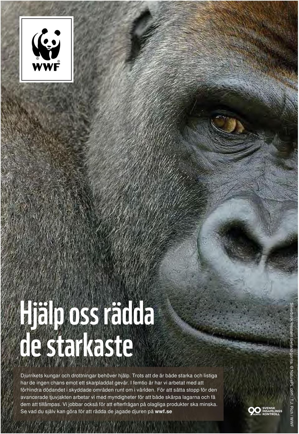 I femtio år har vi arbetat med att förhindra dödandet i skyddade områden runt om i världen.