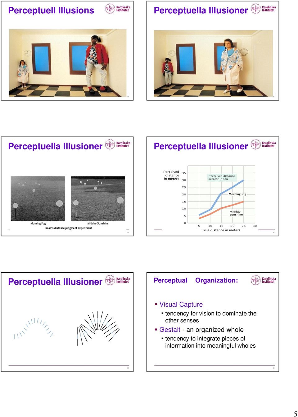 Visual Capture tendency for vision to dominate the other senses Gestalt - an